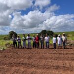 Mutirão Agroecológico fortalece união e produção no campo em Lagoa de Itaenga